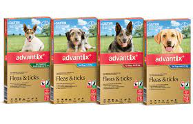 Advantix For Dogs Kills Fleas Ticks Mosquitoes More