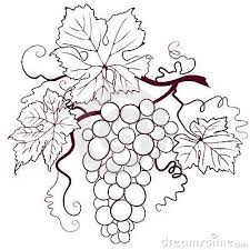 Grape Vine Boyama Sayfalari Mandala Uzum Cizim