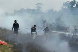 Kebakaran Hutan Simpan Kuala Langat ...