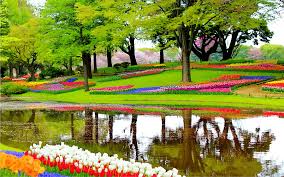 Many are the result of careful breeding and selection, and a number of the very best date back over a hundred years , to a time of great american plant breeders, including the. Keukenhof The Most Beautiful Gardens In The World Flower Garden Beauty Green Garden S Landscape Grass Png Pngegg