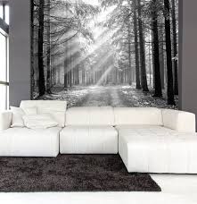 Wand Wandbild Schwarz Weiss Von Nadelwald Im Fruhen Von Styleawall Beschilderde Muur Muurschildering Decoraties