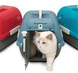 Cages de transport pour chats – Catit Canada
