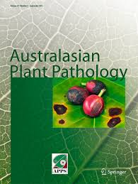 Image result for Heteropyxidaceae