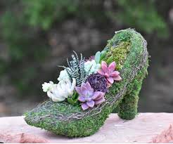 8 h x 10 dia. High Heel Pump Shoe Planted With Colorful Succulents Simply Succulents