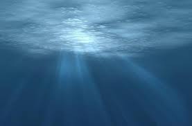 Palung mariana ini terletak di barat samudera pasifik sampai ke timur pulau mariana. Di Mana Lokasi Palung Mariana Diklaim Sebagai Dasar Laut Terdalam Di Dunia Hitekno Com