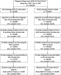 Sample Attrition Chart Mnsclc Metastatic Non Small Cell