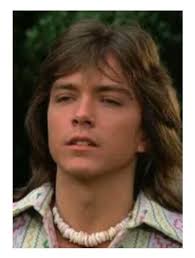 Where to find puka shell necklaces like David Cassidy's?