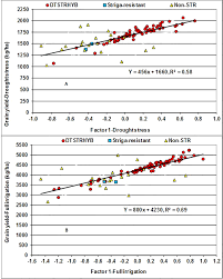 Cultivated species of rice evolved from weedy wild species (adapted from chang 1976). Frontiers Stacking Tolerance To Drought And Resistance To A Parasitic Weed In Tropical Hybrid Maize For Enhancing Resilience To Stress Combinations Plant Science