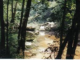 The scenic sipsey river flows through the sipsey wilderness area as well. William B Bankhead National Forest An Alabama National Forest Located Near Haleyville Moulton