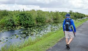 Tripadvisor has 7,036 reviews of everglades national park hotels, attractions, and restaurants making it your best everglades start planning for everglades national park. Guide To Visiting Everglades National Park