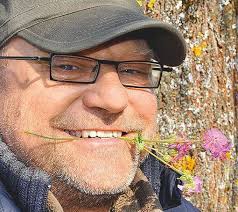 Campanula latifolia var. macrantha 'Alba'