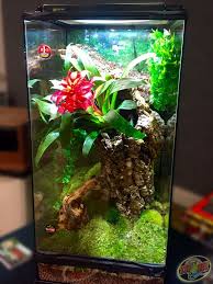 Diy This Skyscraper Terrarium 1 Cover Bottom W Hydroballs For Better Drainage Increased Humidit Crested Gecko Vivarium Crested Gecko Habitat Gecko Terrarium