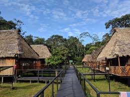 The leaves are then removed from only side of the stalk while the other. Check Out Green Forest Tour S New Video Https Www Youtube Com Watch V Tqxcox7gxci Picture Of Green Forest Ecolodge Cuyabeno Wildlife Reserve Tripadvisor