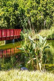 decouverte de la nature saintcyprien tourisme nature jardindesplantes saintcyprien destination de voyage destination en eu jardins plante jardin nature