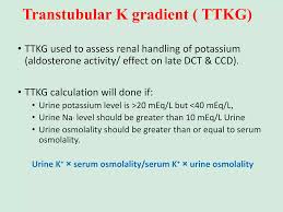 Image result for Transtubular Potassium Gradient