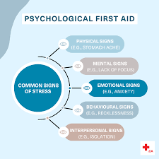 Image result for Psychological First Aid