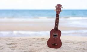 Where To Buy A Ukulele The 2020 Guide