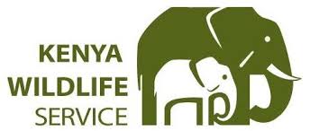 Kenya Wildlife Service (KWS) | PANORAMA