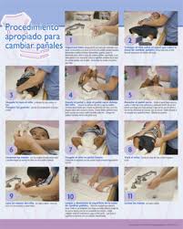 Proper Diapering Procedure Spanish Naeyc Online Store