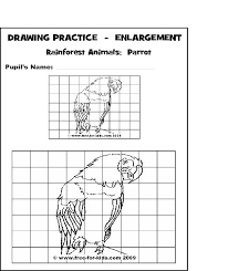 Practice Drawing Pages Of Rainforest Animals Art Worksheets Drawing Practice Drawing Grid