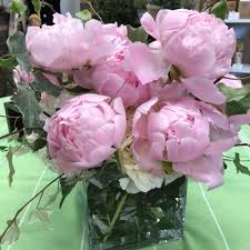 Best things todo + see in murfreesboro tn. Murfreesboro Flower Shoppe Home Facebook