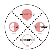 A Few Thoughts About Two Cycles The Menstrual And Lunar