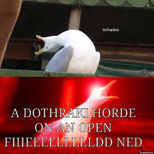 Inhaling Seagull Know Your Meme