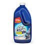 iClean Carpet from www.oxiclean.com