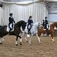 Gaynor’s Dancing Horses - Christmas Special event image