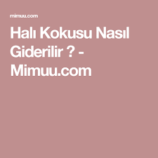 Hali Kokusu Nasil Giderilir Mimuu Com Halilar Yerler Fikirler