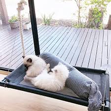 The cat window perch can provides a safe 360° sunbath for. Buy Cat Bed Window Perch Hammock Sunny Seat For Larger Cats Perches Window Mounted Cat Beds Two Kitty Window Seat Animal Pet Kitten Cot Beds Heavy Duty 4 Suction Cups Holds Up
