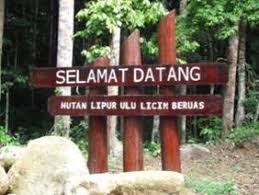 We did not find results for: Hutan Lipur Negeri Perak Forestry Department Peninsular Malaysia