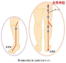 pin on みゆき