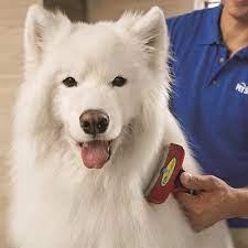 Please reach out to the adoption group directly. Petsmart 67 Photos 99 Reviews Pet Training 6650 N Durango Dr Las Vegas Nv Phone Number