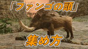 ファンゴ の 頭