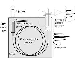 The device was invented in 1957 by james lovelock and is used in gas chromatography to detect trace amounts of chemical. Principle Of The Gas Chromatographer Shown With An Electron Capture Download Scientific Diagram