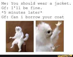 15 Hysterical Persian Cat Room Guardian Memes That Will Speak To Anyone
