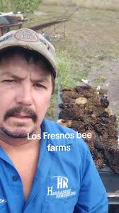 Los Fresnos Bee Farms