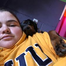 Are deer antlers safe for dogs to chew on?