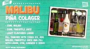 Sweet afton's cory miller feels the same, which is why he made this version with malibu rum in place of the canned coconut cream. Pina Colada Malibu Cocktails Thermomix Pina Colada Recipe Thermofun Thermomix Recipes The Malibu Pina Colada Cocktail Is A Malibu Rum And Coconut Cream Cocktail Served In A Wine Or Decorative