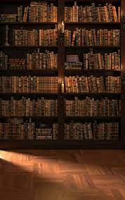 In A Castle S Library Photography Backdrop Home Libraries Old Libraries