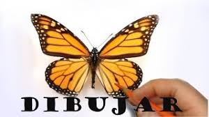 Como Dibujar Una Mariposa Monarca Youtube Dibujar es uno de los pasatiempos favoritos de los ninos. como dibujar una mariposa monarca youtube