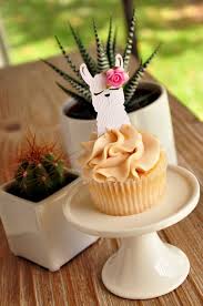 I've had this cactus for some time, and it's had bugs since i acquired it. Llama Baby Shower Ideas Popsugar Family