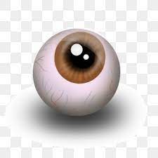 Eyeballs Eyeball Eye Images Background Images Free Download