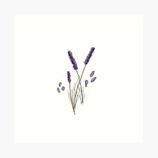 Hand painted watercolor lavender clipart this collection includes 28 individual elements of lavender flowers in shade of blue, pink and purple, sprig of lavenders, pink rose and decoration items. Lavender Sprig Art Prints Redbubble