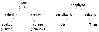 Levi Straussian Analysis Of Organizational Schemas