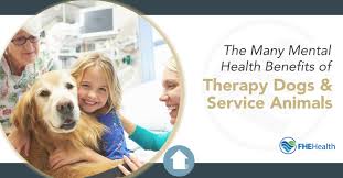 Although you cannot register your service dog, you can receive documentation by training your dog to pass the adi public access test or requesting a doctor's note. Many Mental Health Benefits Of Therapy Dogs And Service Animals