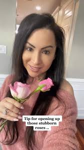 Such a simple way to open up those stubborn roses. Have you tried this rose  hack yet? #flowers #floralbouquet #valentinesflowers #floralarrangements  #pinkflowers #quicktip #foryou #rosebloom #rosehack