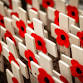 Remembrance Day - Curriculum Services event image