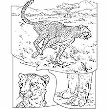 In case you don\'t find what you are looking for, use the top search bar to search again! 25 Best Cheetah Coloring Pages For Your Little Ones